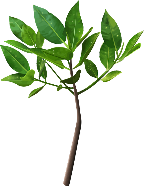 tree illustration