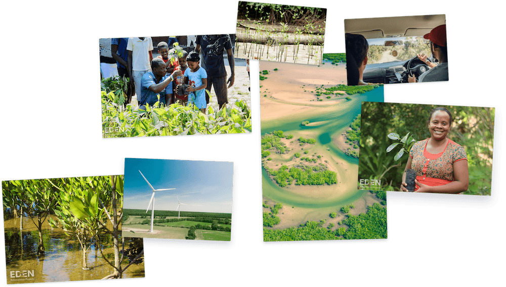 Collage of people smiling while planting trees and forest images
